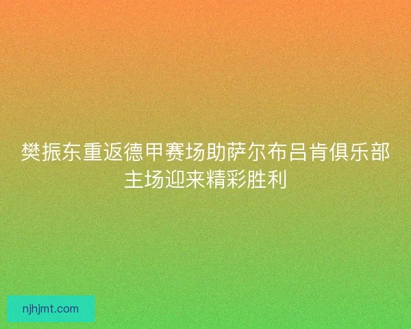 樊振东重返德甲赛场助萨尔布吕肯俱乐部主场迎来精彩胜利